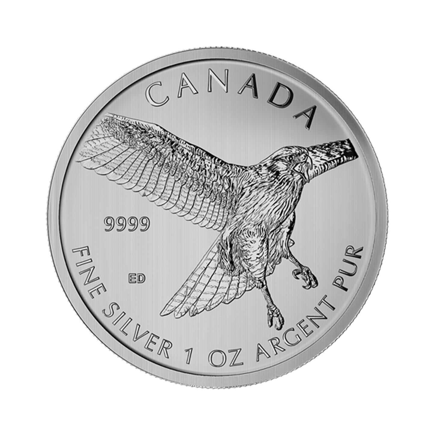 ROYAL CANADIAN MINT RED TAILED HAWK 1 OZ | Sígild mynt