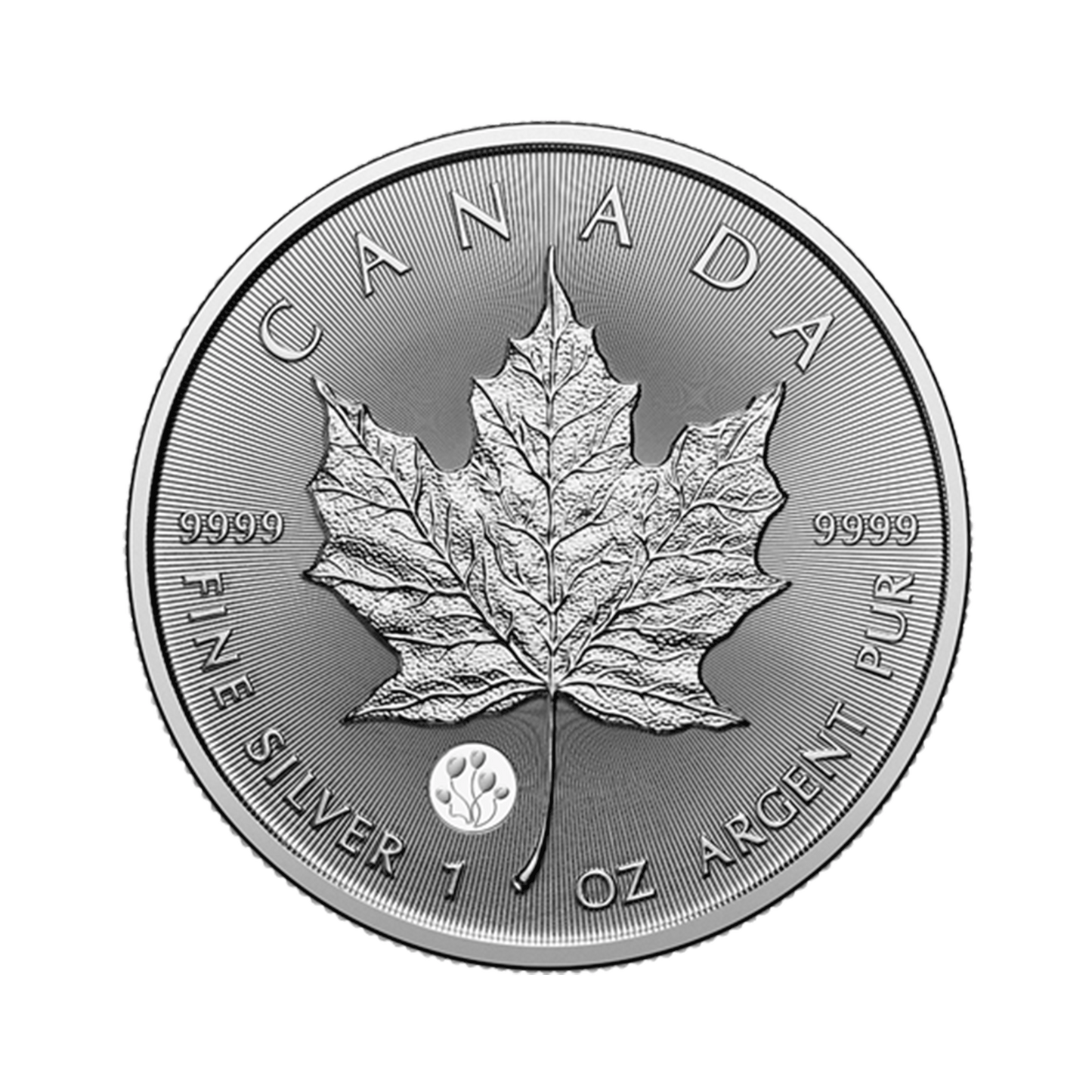 ROYAL CANADIAN MINT MAPLE LEAF - MONSTER BOX 500 STYKKI | 500 OZ