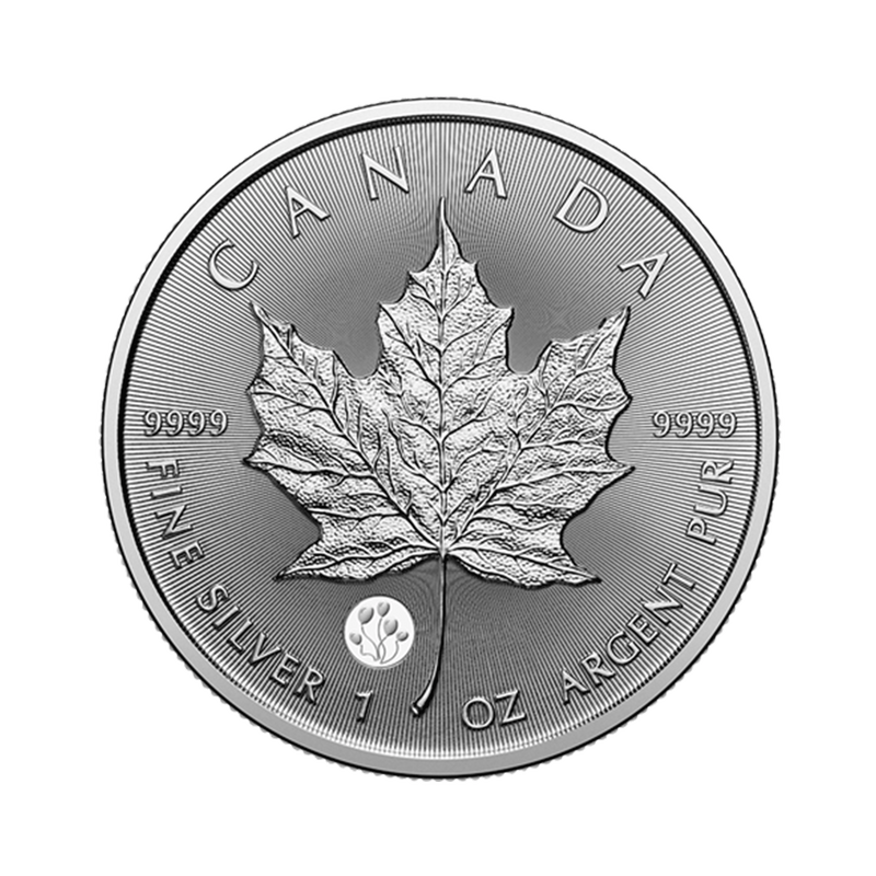 ROYAL CANADIAN MINT MAPLE LEAF 1 OZ | Sígild mynt
