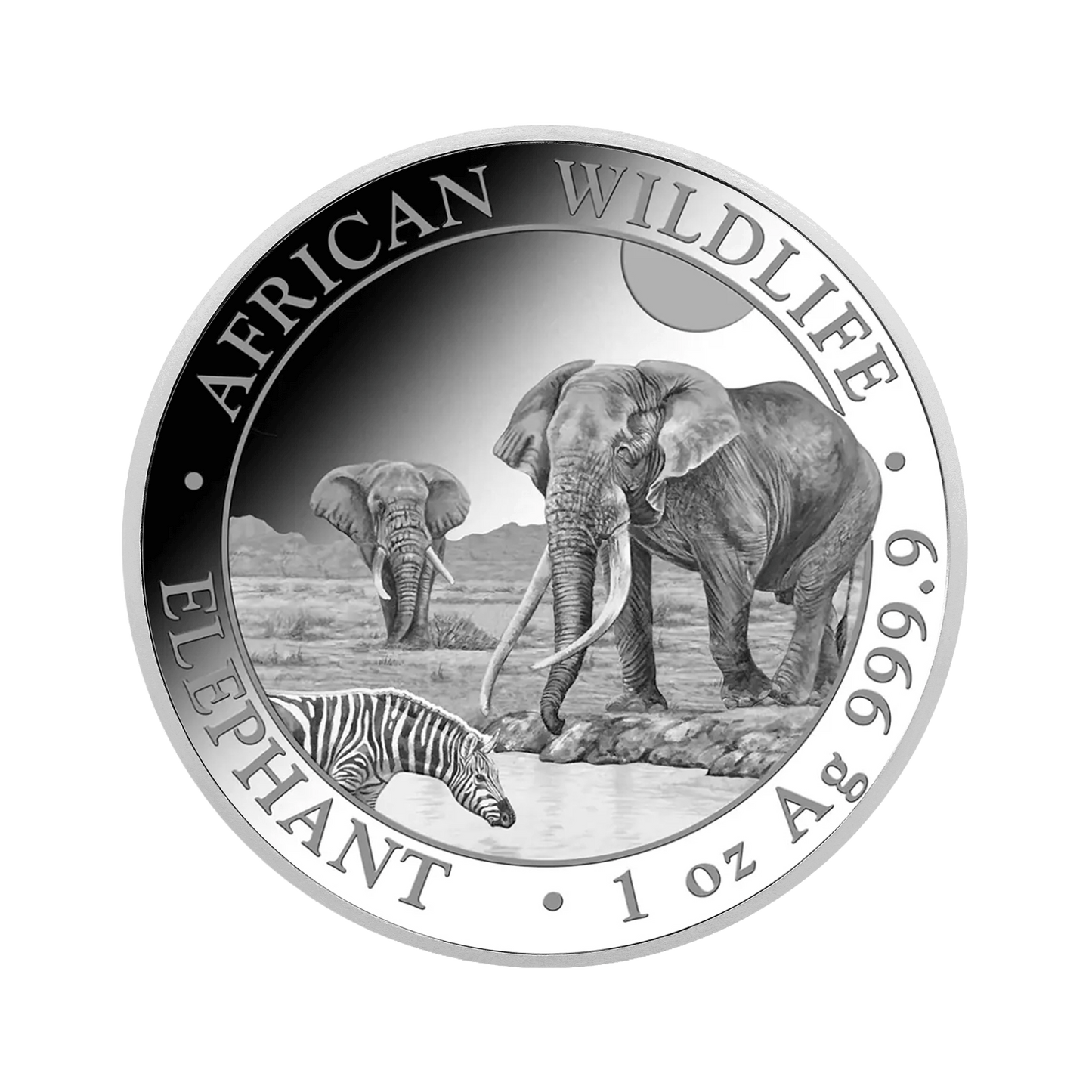 SOMALIA 2026: AFRICAN WILDLIFE ELEPHANT | 1 OZ
