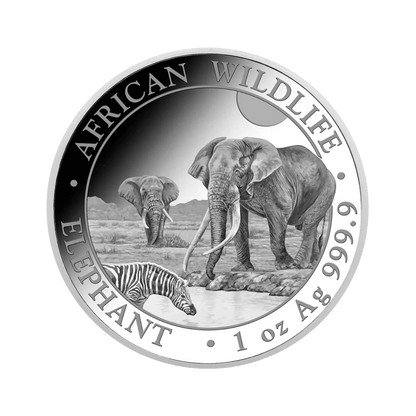 SOMALIA 2026: AFRICAN WILDLIFE ELEPHANT | 1 OZ