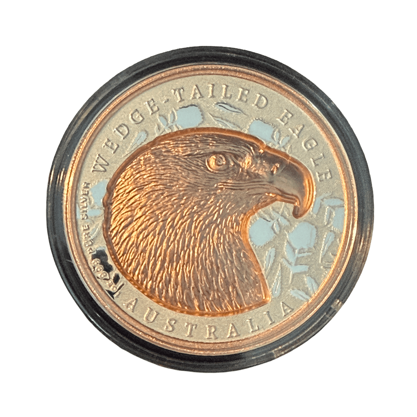 NIUE 2026: NATIVE IMPRESSIONS – WEDGE TAILED EAGLE | 1 OZ