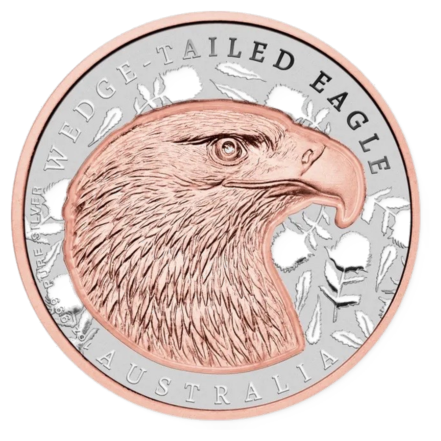 NIUE 2026: NATIVE IMPRESSIONS – WEDGE TAILED EAGLE | 1 OZ