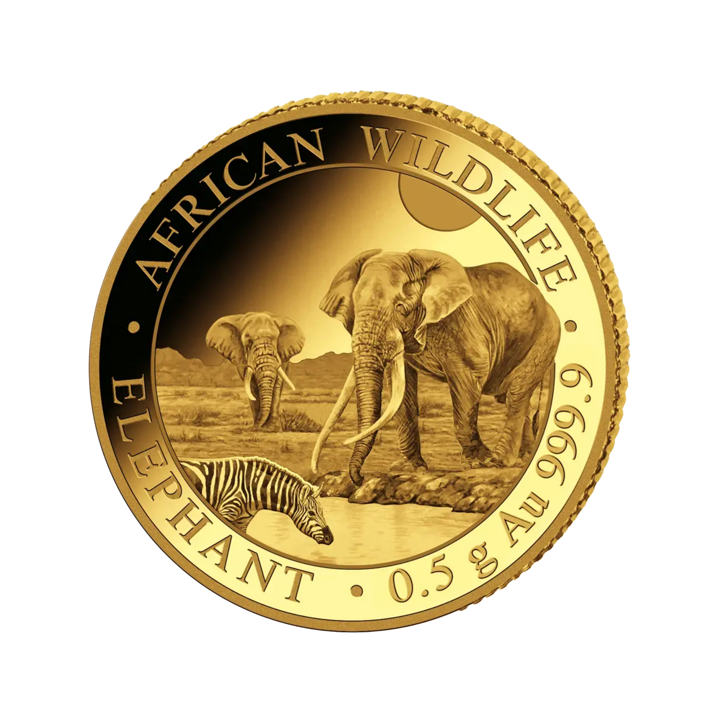 SOMALIA 2026 AFRICAN WILDLIFE ELEPHANT  | 0,5 gr.