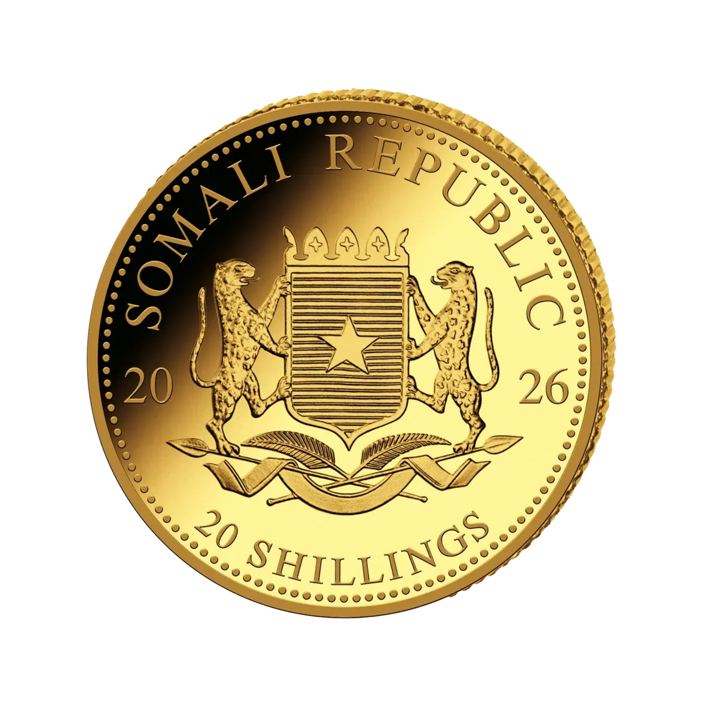 SOMALIA 2026 AFRICAN WILDLIFE ELEPHANT  | 0,5 gr.